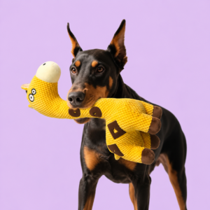 dog-toys
